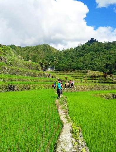 Banaue Tours