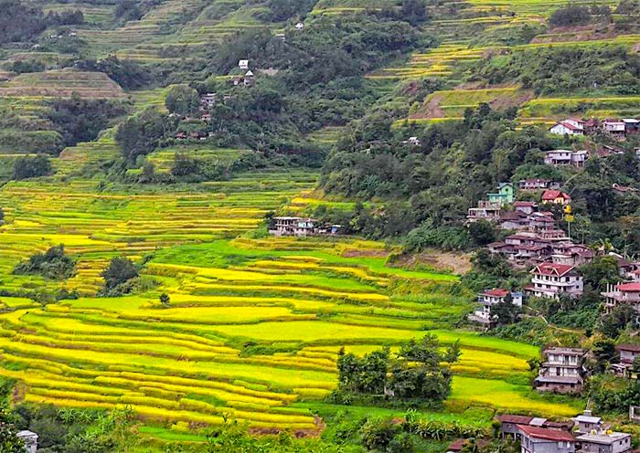 4 Days Banaue Rice Terraces Tour from Manila