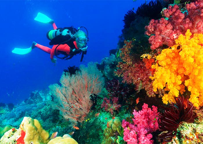 5 Days Coron Adventure Tour with Ultimate Island, Reef & Wreck Tour