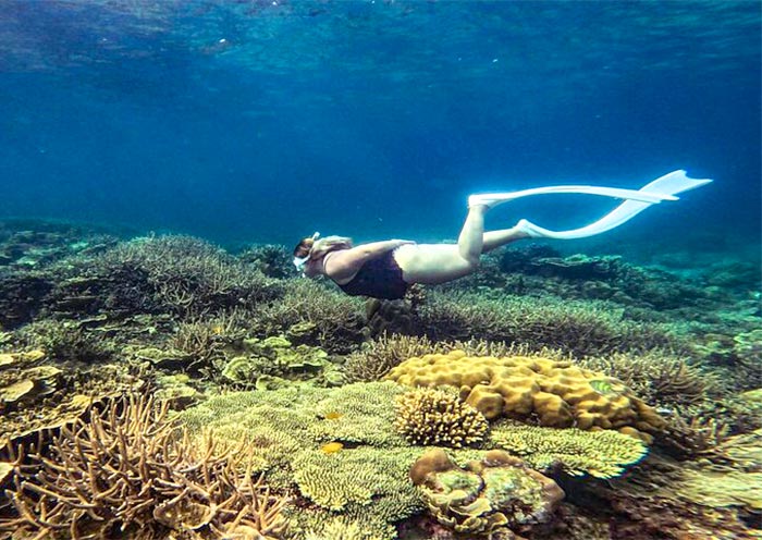 Port Barton Island Hopping Tour to Twin Reef Port Barton Island Hopping Tour to Twin Reef