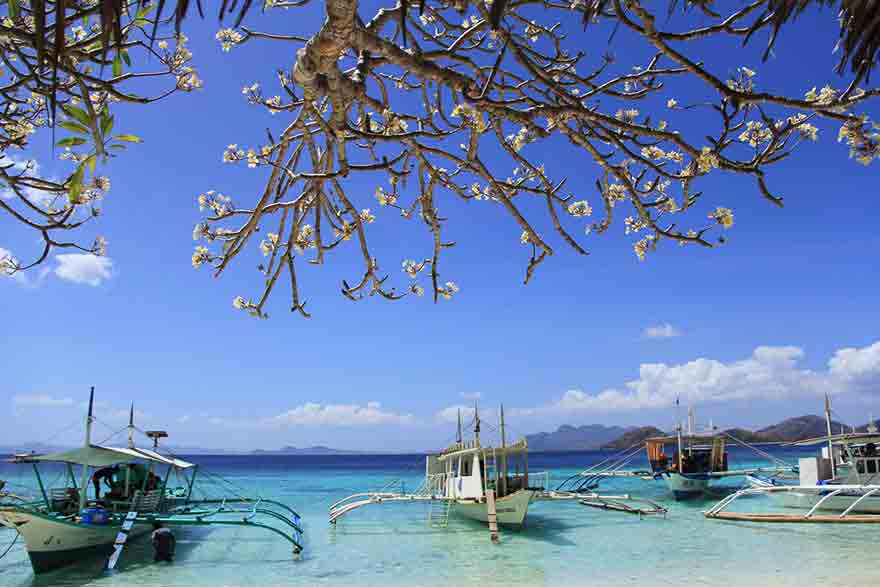 What can I buy in Manila Philippines?