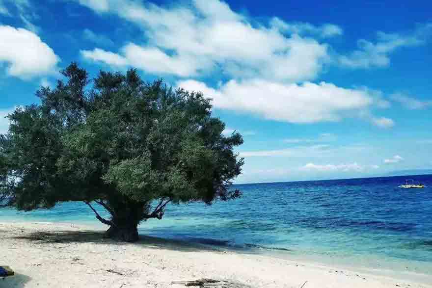 Where is Cebu located?